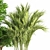 Green Oasis Indoor Plant Set 3D model small image 3