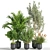 Green Oasis Indoor Plant Set 3D model small image 1