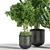 Green Oasis Indoor Plant Set 3D model small image 3