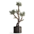 Exotic Olive Tree Collection 3D model small image 2