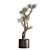 Exotic Olive Tree Collection 3D model small image 3