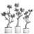 Exotic Olive Tree Collection 3D model small image 7