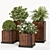 Evergreen Garden Palm Set 04 3D model small image 1