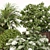 Evergreen Garden Palm Set 04 3D model small image 2