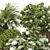 Evergreen Garden Palm Set 04 3D model small image 5