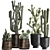 Exotic Cactus Collection in Stylish Metal Pots 3D model small image 1