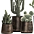 Exotic Cactus Collection in Stylish Metal Pots 3D model small image 2