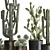 Exotic Cactus Collection in Stylish Metal Pots 3D model small image 3