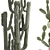 Exotic Cactus Collection in Stylish Metal Pots 3D model small image 4