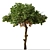 Sweetgum Tree Set: 2 Majestic Liquidambar styraciflua Trees 3D model small image 4