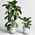 Handmade Concrete Vase Indoor Plant 3D model small image 2