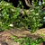 Serene Bonsai Sculpture 3D model small image 2