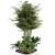 Lush Outdoor Plant Collection 3D model small image 2