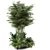 Lush Outdoor Plant Collection 3D model small image 3