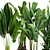 Tropical Plant Collection: Exotic Palms & Ravishing Strelitzia 3D model small image 3