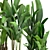 Tropical Plant Collection: Exotic Palms & Ravishing Strelitzia 3D model small image 4