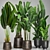 Tropical Plant Collection: Exotic Palms & Ravishing Strelitzia 3D model small image 5