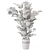 Rustic Concrete Pot Indoor Plant Set 3D model small image 7