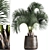 Exotic Metal Pot Plant Collection 3D model small image 1