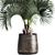 Exotic Metal Pot Plant Collection 3D model small image 2