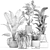 Exotic Plant Collection: Palms, Ferns, and Bananas 3D model small image 7