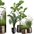 Tropical Plant Collection in Stylish Pots 3D model small image 1