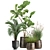 Tropical Plant Collection in Stylish Pots 3D model small image 6