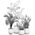 Tropical Plant Collection in Stylish Pots 3D model small image 7