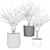 Decorative Set: 3 Small Dracaena Plants 3D model small image 2