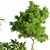 Green Oasis Indoor Plant Set 3D model small image 5