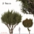 Evergreen Arbutus unedo Tree Set 3D model small image 1