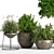 Indoor Greenery Set: Stylish & Lush 3D model small image 2