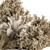 Wild Bushes - Set of 36 3D model small image 2