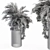 Tropical Oasis: Palm Indoor Plant 3D model small image 5