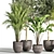 Succulent Indoor Plant Set 35 3D model small image 3