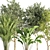 Succulent Indoor Plant Set 35 3D model small image 5