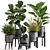 Exotic Plant Collection: Tropical Foliage in Black Pots & Vases 3D model small image 1