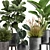 Exotic Plant Collection: Tropical Foliage in Black Pots & Vases 3D model small image 5