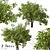 Luscious Lemon Duo: Citrus limon Tree Set 3D model small image 3