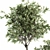 Olive Pot Set 239: Stylish Indoor Plants 3D model small image 3