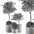 Olive Pot Set 239: Stylish Indoor Plants 3D model small image 4