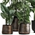 Title: Exotic Plant Collection in Artisan Iron Pots 3D model small image 2
