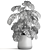 Tropical Treasures: 1001 Plant Collection 3D model small image 6