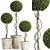 Royal Renaissance: Preserved Boxwood Topiary 3D model small image 1