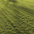 Premium Lawn Grass - Realistic 3D Model 3D model small image 13