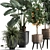 Exotic Plant Collection: Alocasia, Dracaena, Citrus 3D model small image 2