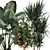 Exotic Plant Collection: Alocasia, Dracaena, Citrus 3D model small image 3