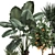 Exotic Plant Collection: Alocasia, Dracaena, Citrus 3D model small image 4