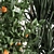 Exotic Plant Collection: Alocasia, Dracaena, Citrus 3D model small image 5