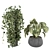 Stunning Indoor Plant Collection 3D model small image 2